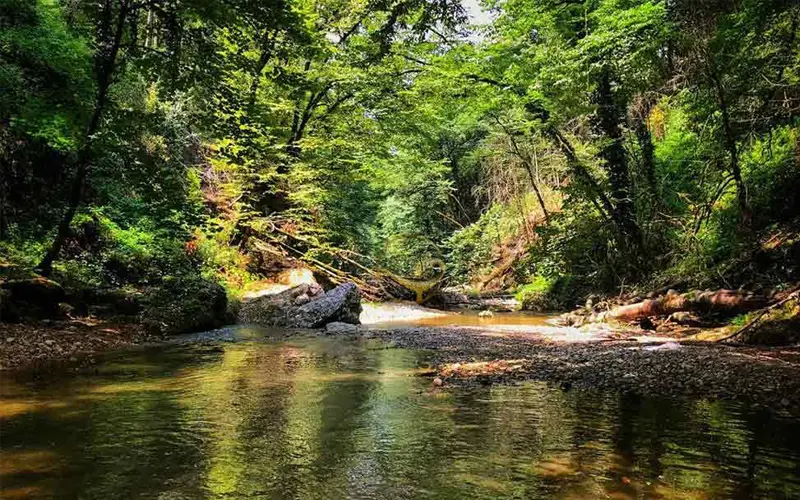 رودخانه کسیلیان رود