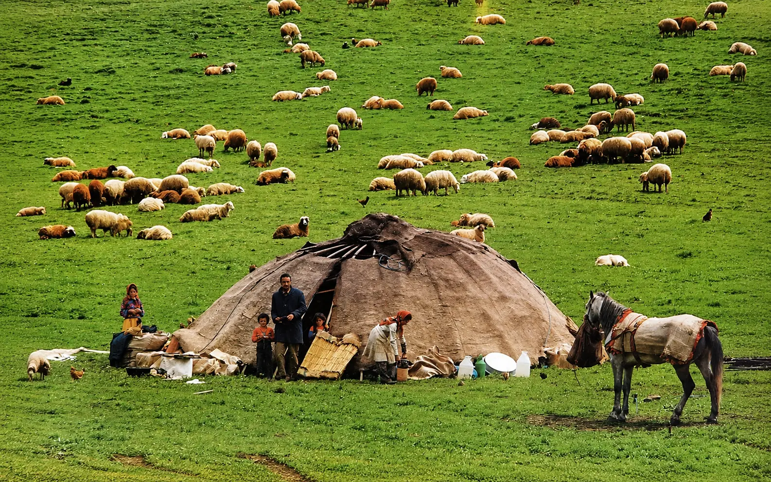 بازدید از عشایر اردبیل